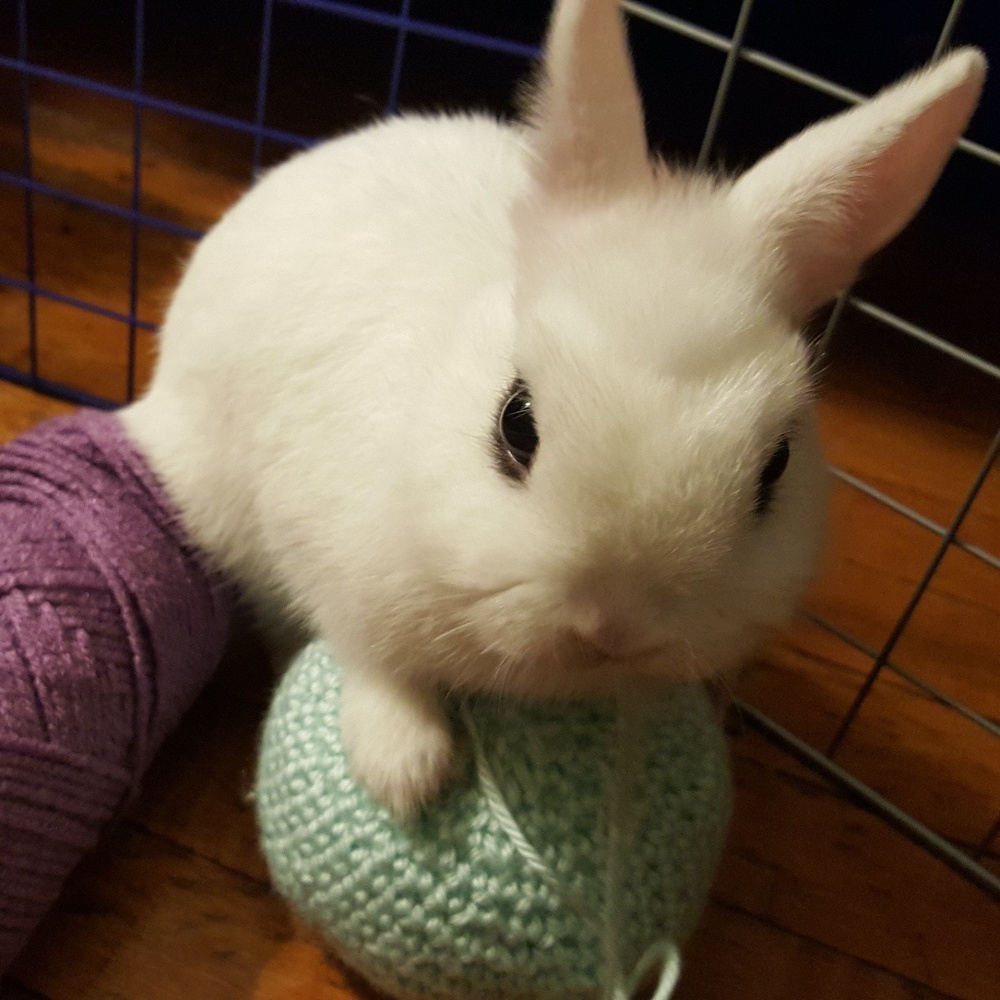 Meet your Posher, Nishi